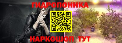jwh Бердск