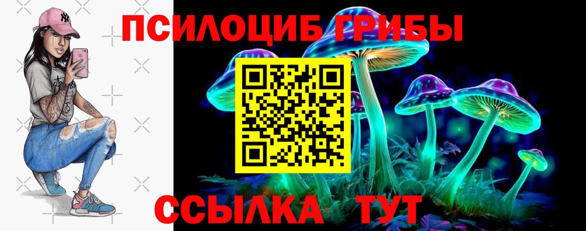 Галлюциногенные грибы GOLDEN TEACHER  Псилоцибиновые грибы ЛСД  Вход с VPN  Нурлат 